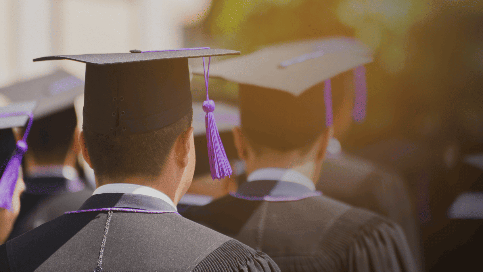 higher education